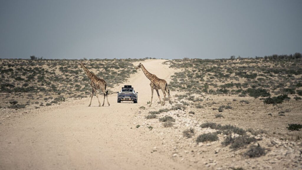 "Get ready for a thrilling off-road journey in Namibia with Porsche 911 Dakar. Explore vast deserts, rugged terrains, and stunning wildlife in this unique adventure, meticulously planned for an unforgettable experience."