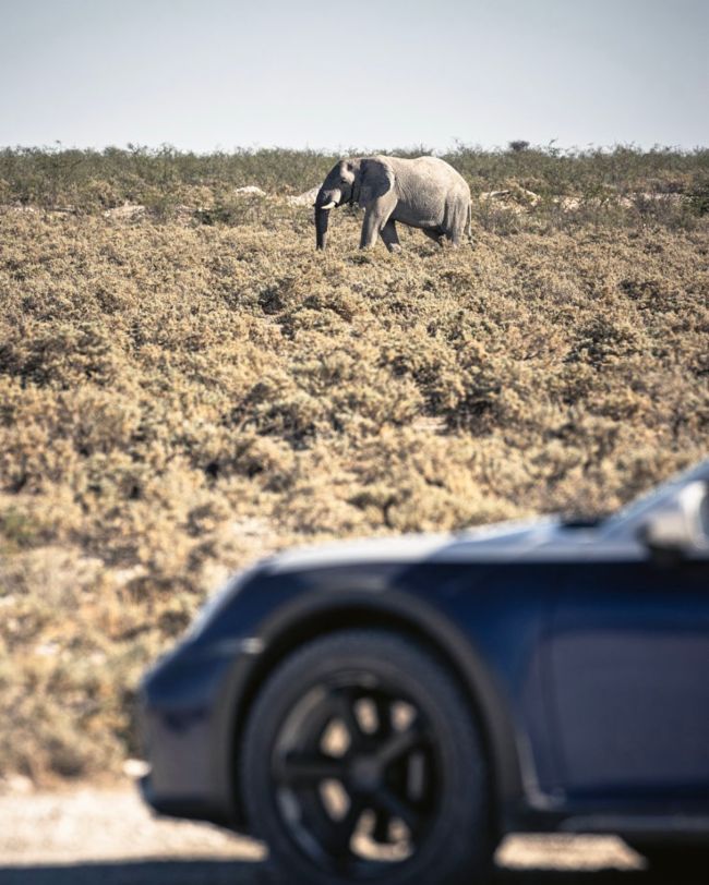 "Get ready for a thrilling off-road journey in Namibia with Porsche 911 Dakar. Explore vast deserts, rugged terrains, and stunning wildlife in this unique adventure, meticulously planned for an unforgettable experience."