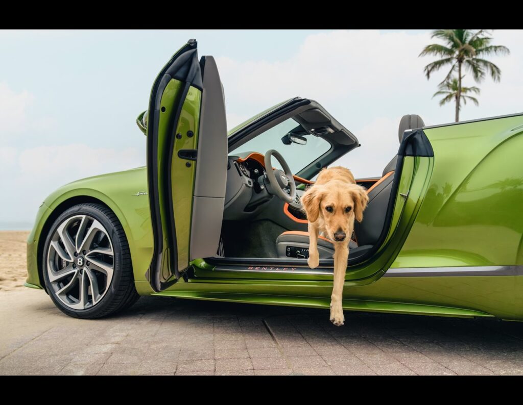 Bentley Residences in Miami redefines luxury living with exclusive amenities, including private pools, a pet spa, fine dining by Todd English, and a drive-in *Dezervator* lift.