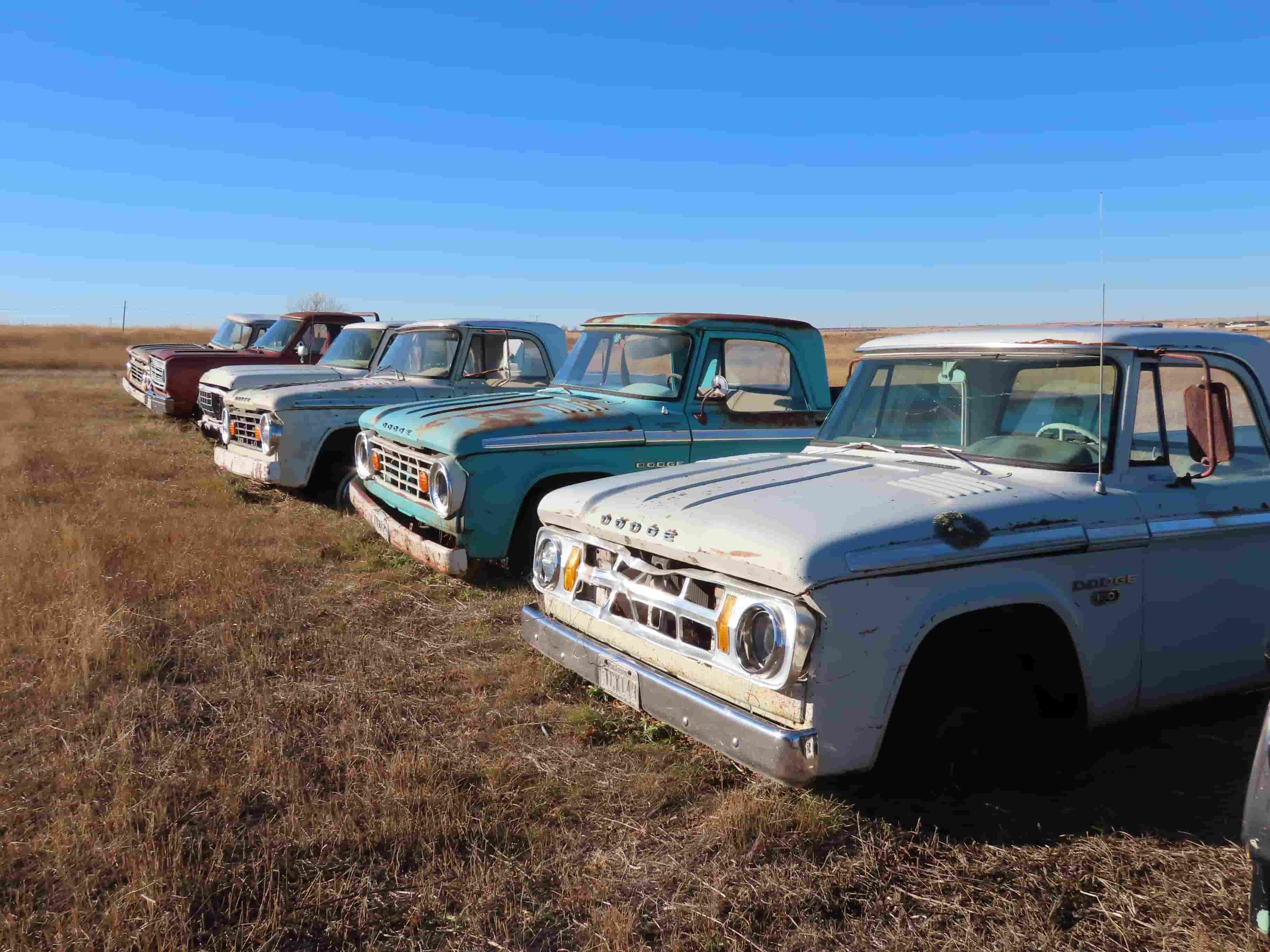 A field of 300 classic American cars from the Sagaser collection is set for auction in North Dakota this June - with models ranging from pre-war to 70s muscle cars.